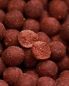 Preview: Red Mussel Boilies