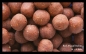 Preview: Red Mussel Boilies