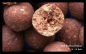 Preview: Red Birdfood Boilies