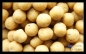 Preview: Cream Boilies