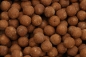 Preview: One'n Only Boilies