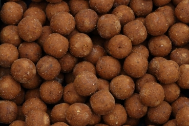 One'n Only Boilies