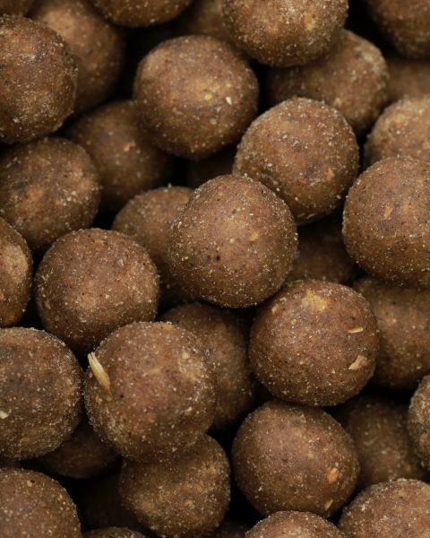 Redfish Boilies