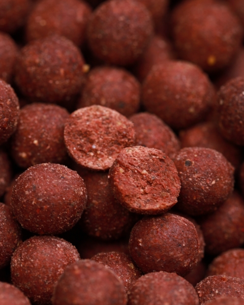 Red Mussel Boilies
