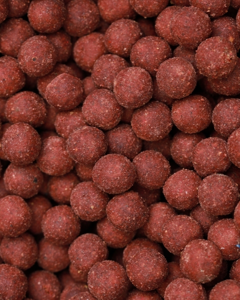 Red Mussel Boilies