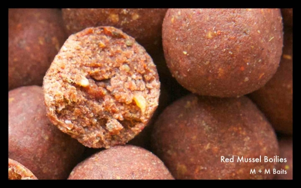 Red Mussel Boilies