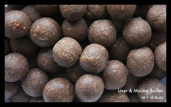 Liver & Marine Boilies