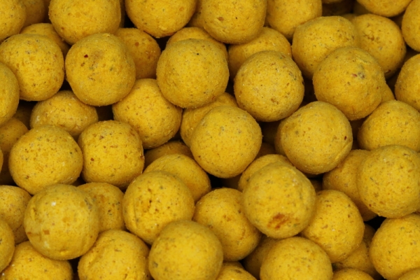 Die gelbe Macht Boilies