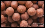 Red Mussel Boilies